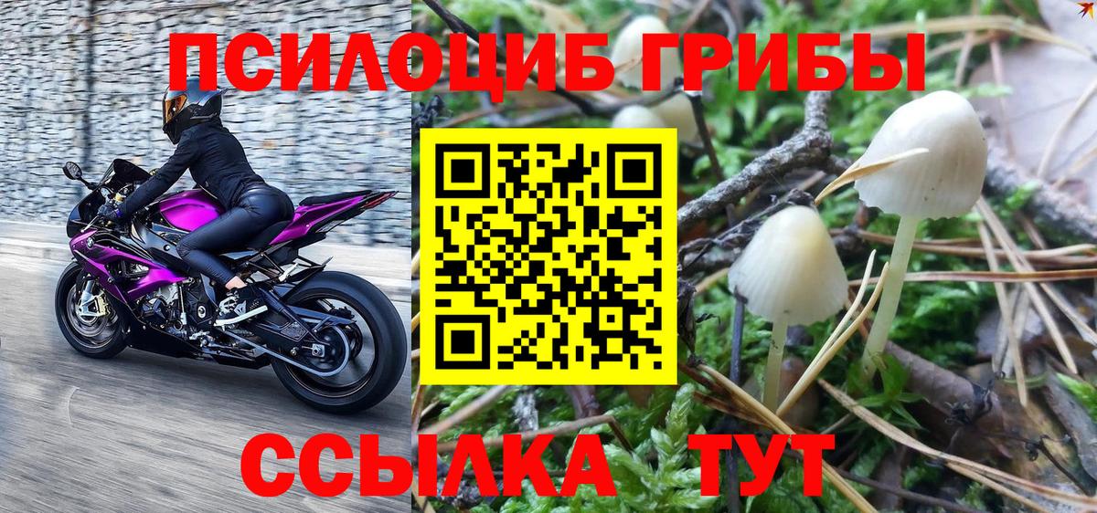Галлюциногенные грибы ЛСД Ялуторовск